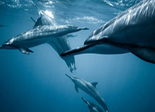 爱游戏官网：一次点击，一段心跳的游戏旅程